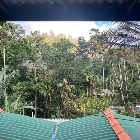 Cozy Homestay Waterfall Road Ела Екстериор снимка