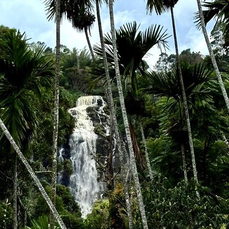 Cozy Homestay Waterfall Road Ела Екстериор снимка
