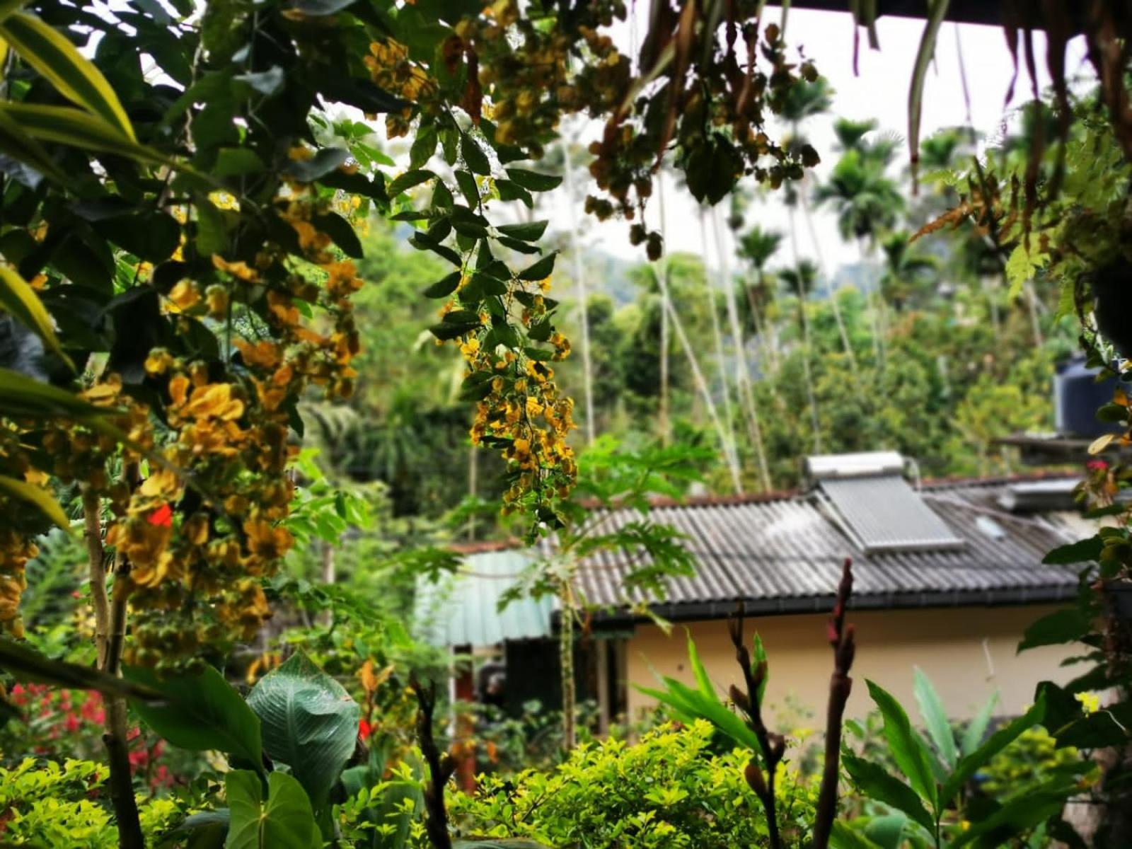 Cozy Homestay Waterfall Road Ела Екстериор снимка