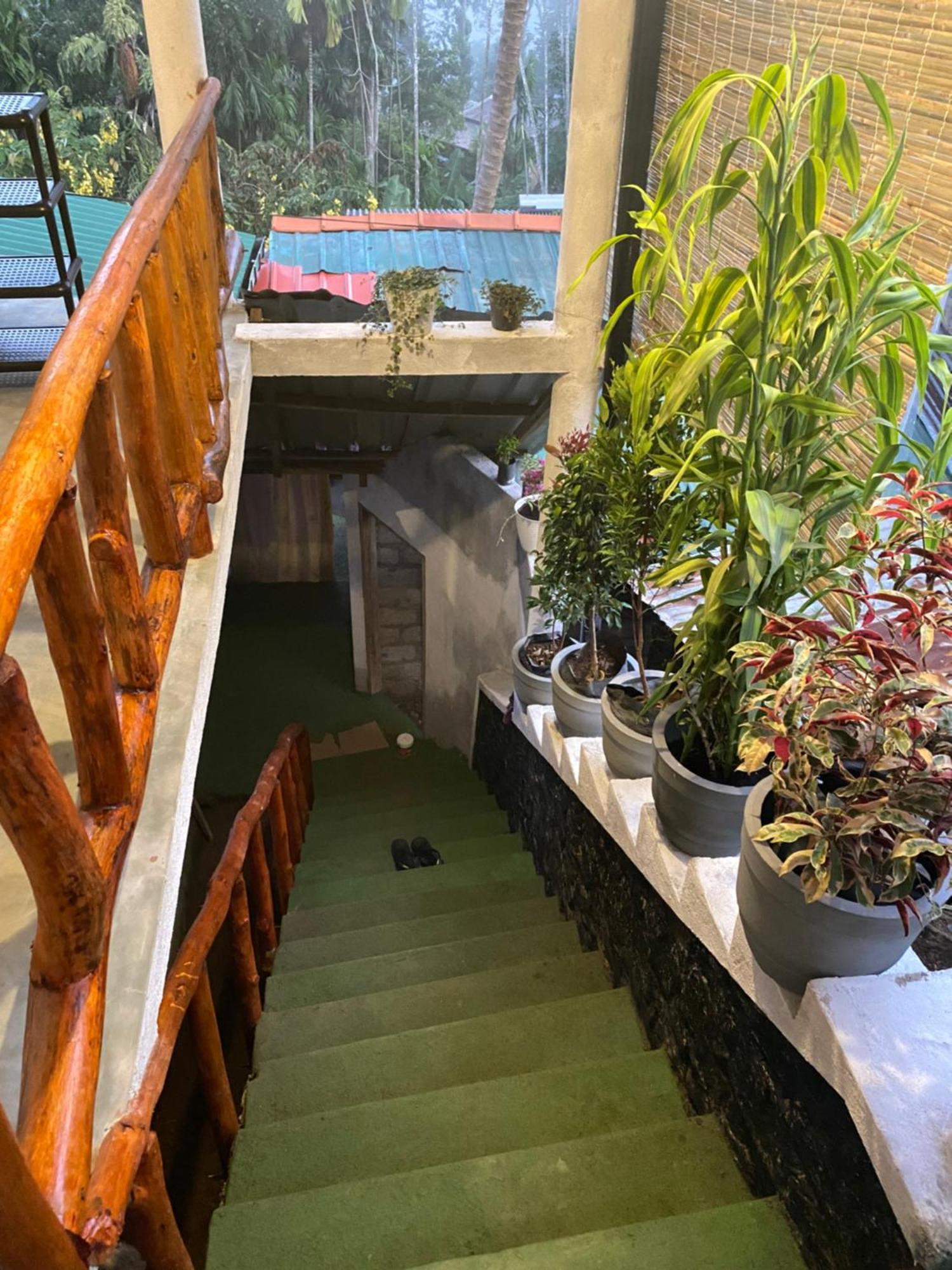 Cozy Homestay Waterfall Road Ела Екстериор снимка