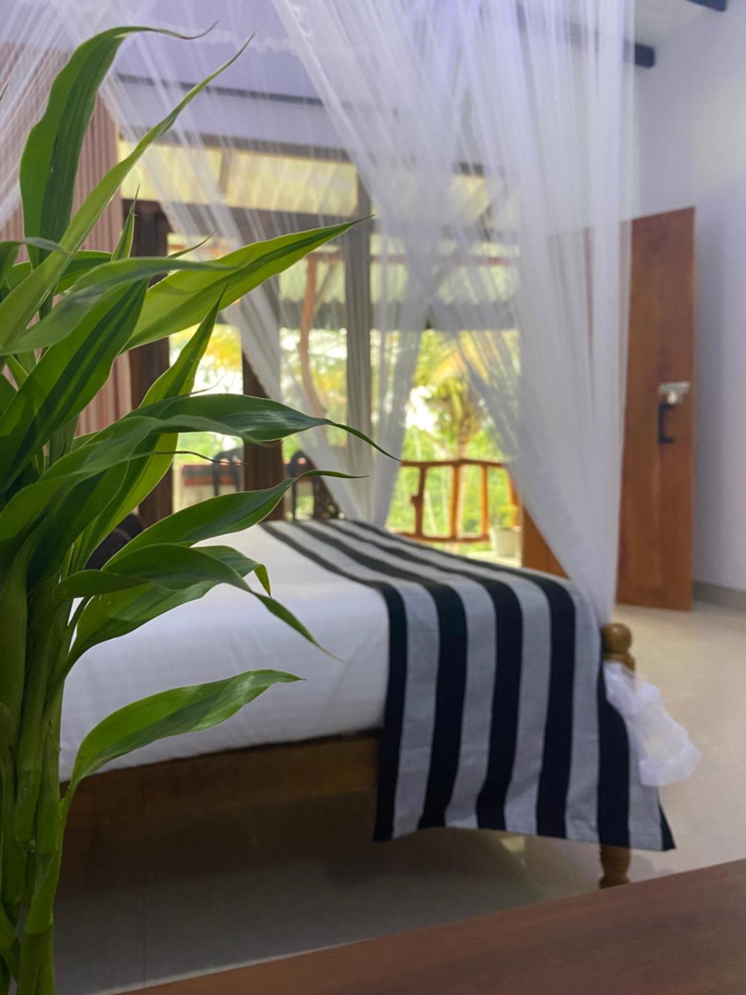 Cozy Homestay Waterfall Road Ела Екстериор снимка