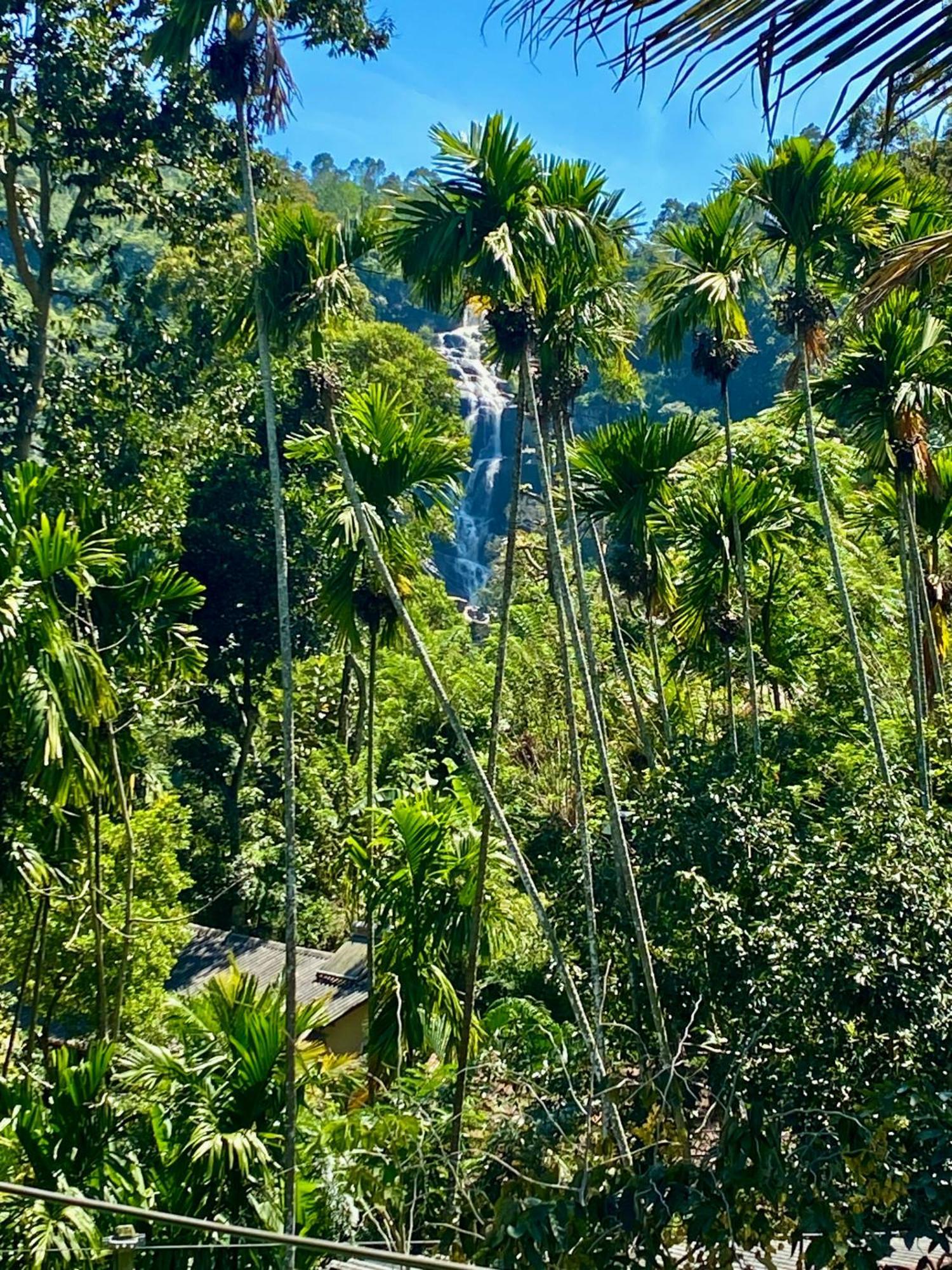 Cozy Homestay Waterfall Road Ела Екстериор снимка
