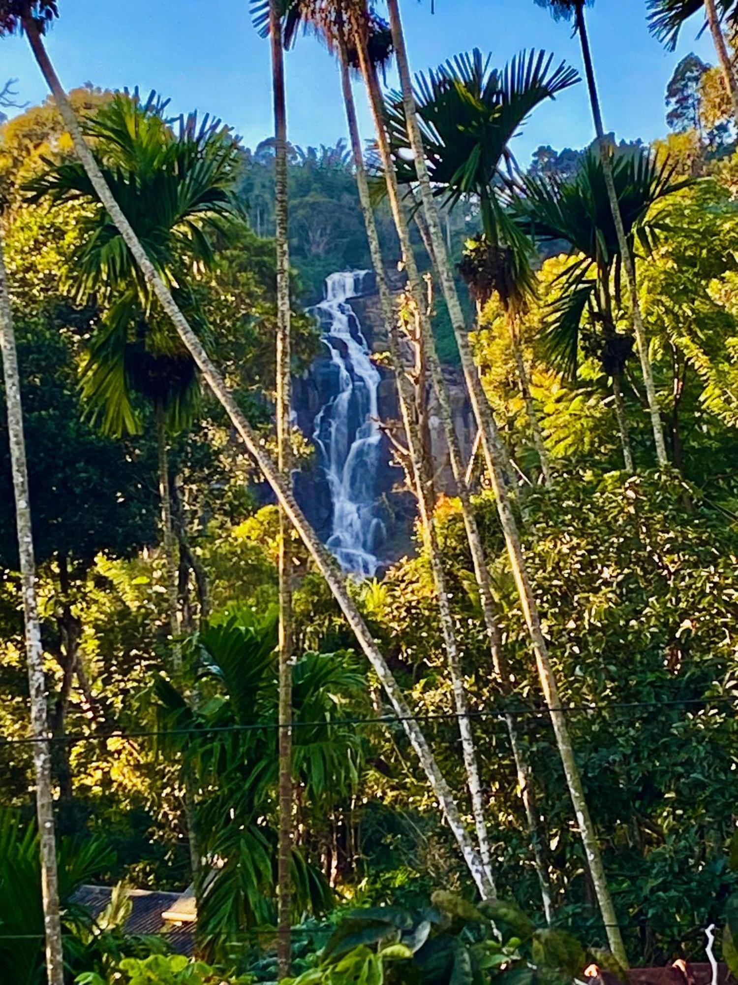 Cozy Homestay Waterfall Road Ела Екстериор снимка